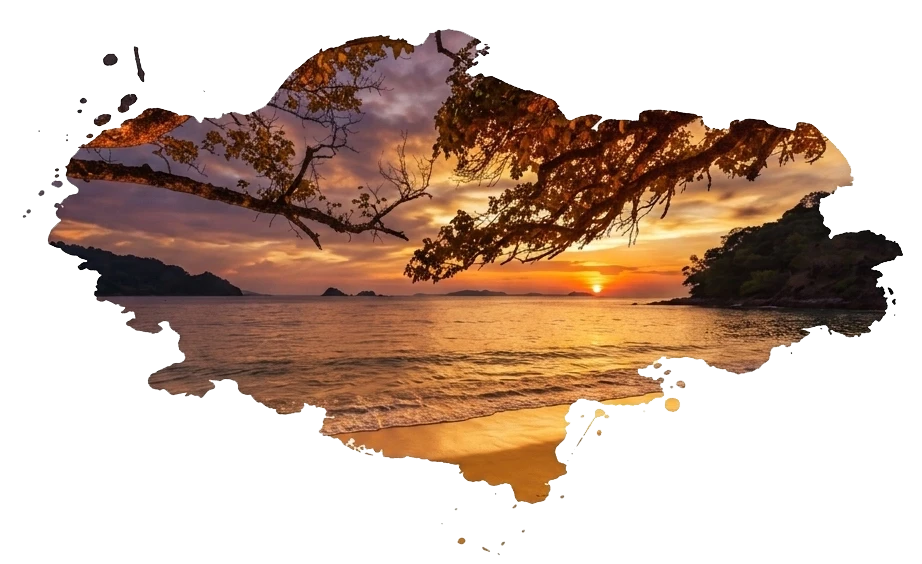 neuronsvr therapy program at sunset